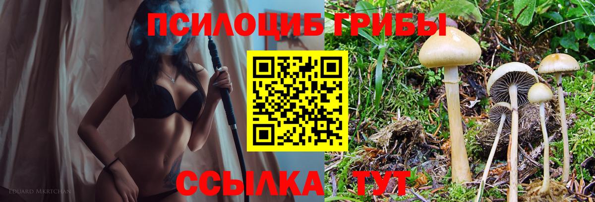 Галлюциногенные грибы мицелий  Галлюциногенные грибы Psilocybe  Вход с VPN  Скопин 